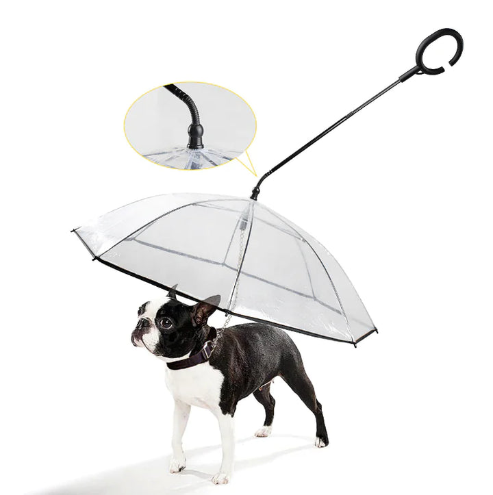 Transparante Hondenparaplu - ClearShield