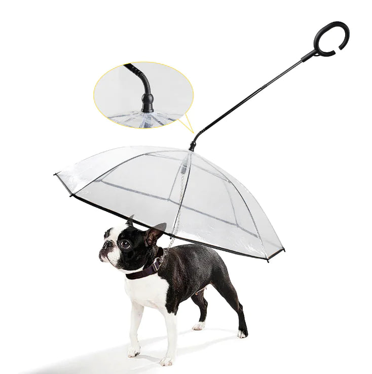 Transparante Hondenparaplu - ClearShield
