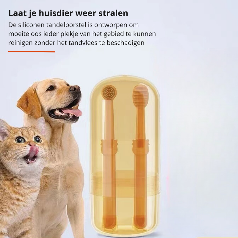 DoggyDent Tandenborstel | Verzorg het gebit van je hond als een professional