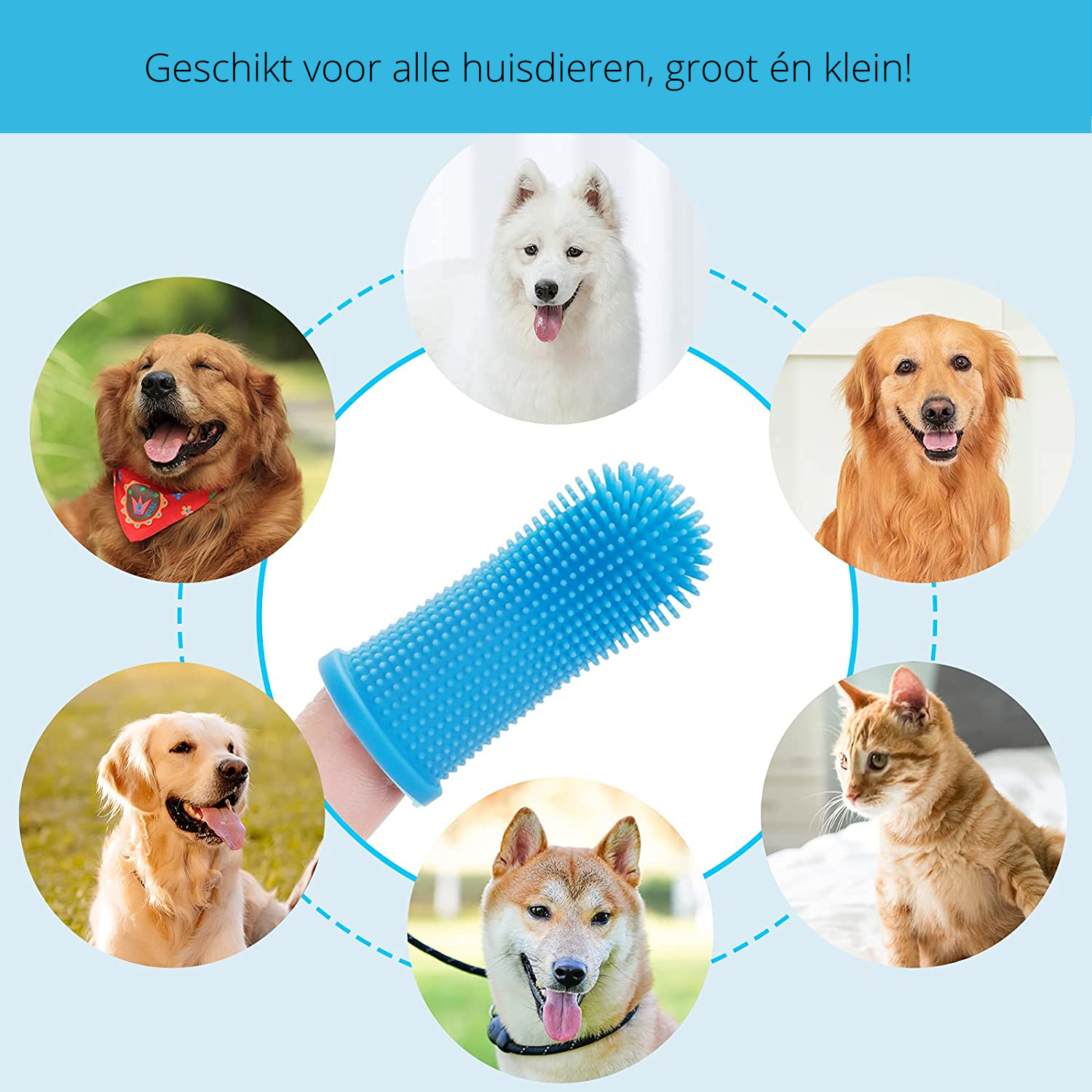 Honden Gebitsreiniger | Veilig materiaal & handig in gebruik