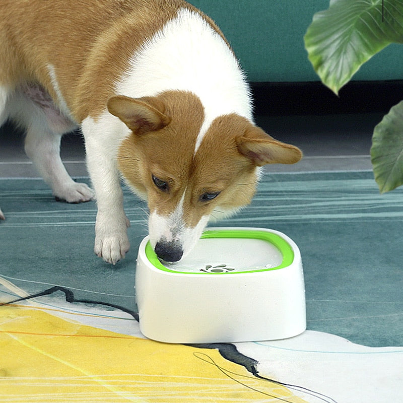 Pet Splash Bowl | De verfrissende waterdispenser voor jouw geliefde huisdier