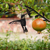 Vardi Dante Tuindecoratie | Metalen Vogel Silhouet - Kunst In De Achtertuin