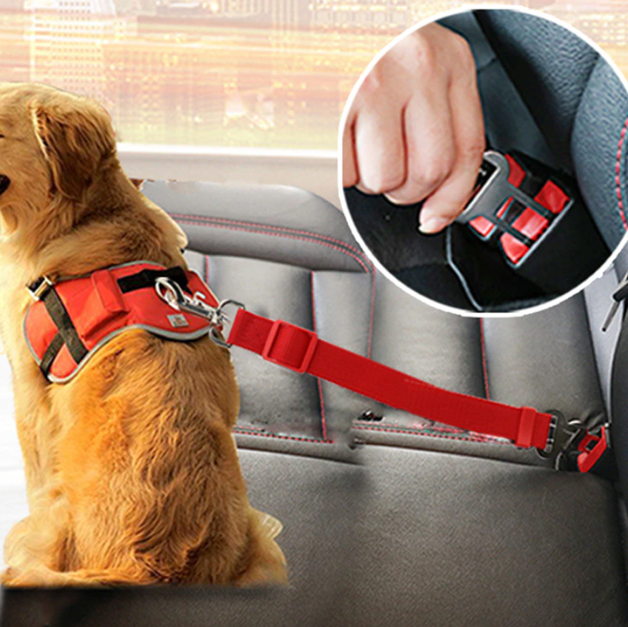 Vardi Dante™ Honden Autoriem | Ook jouw viervoeter zit voortaan veilig in de auto!